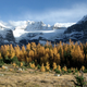 Rocky Mountains. Wikimedia Commons